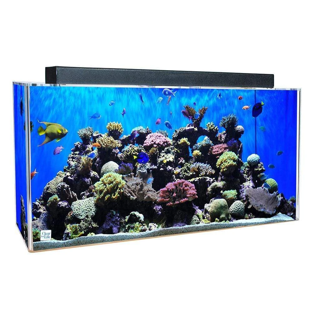 Clear-For-Life 100 Gallon Rectangle Aquarium, Best Arowana