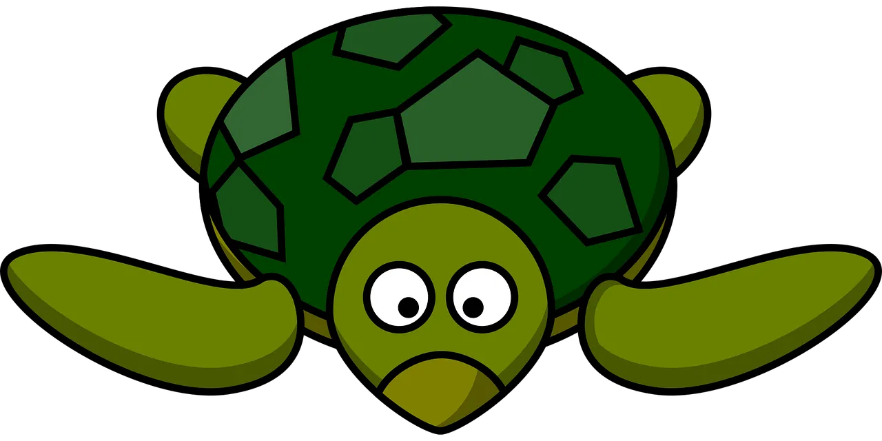 Speke's Hingeback Tortoise - Reptiles Home Mall