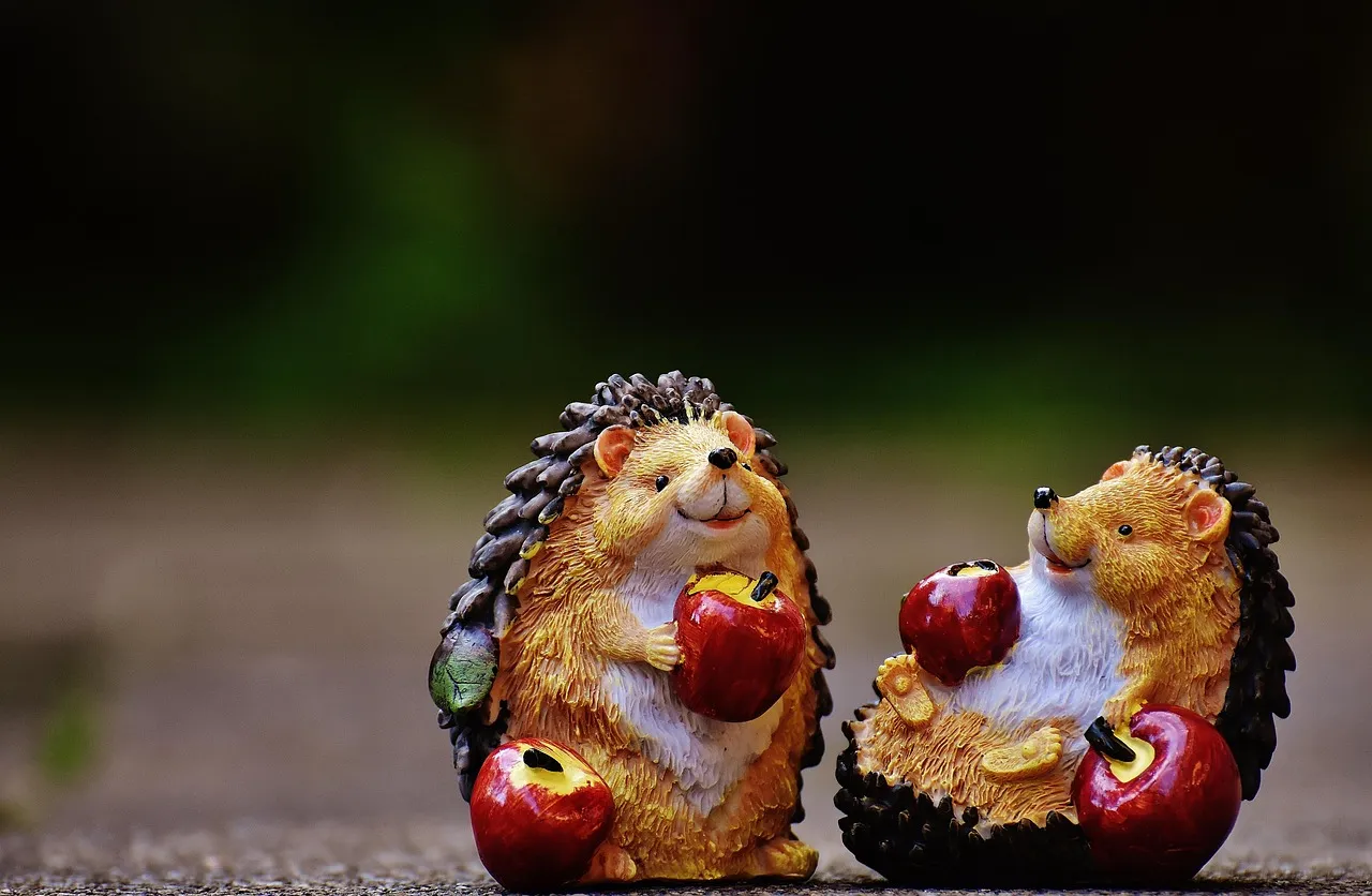 hedgehog pet for sale