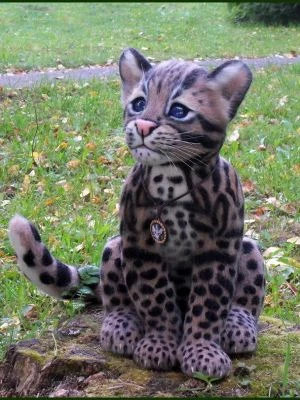 Discover ocelot stuffed animals on Tedsby