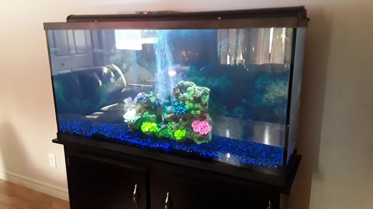Heartland LED Aquarium 60 Gallon, Best Arowana, Buy Arowana