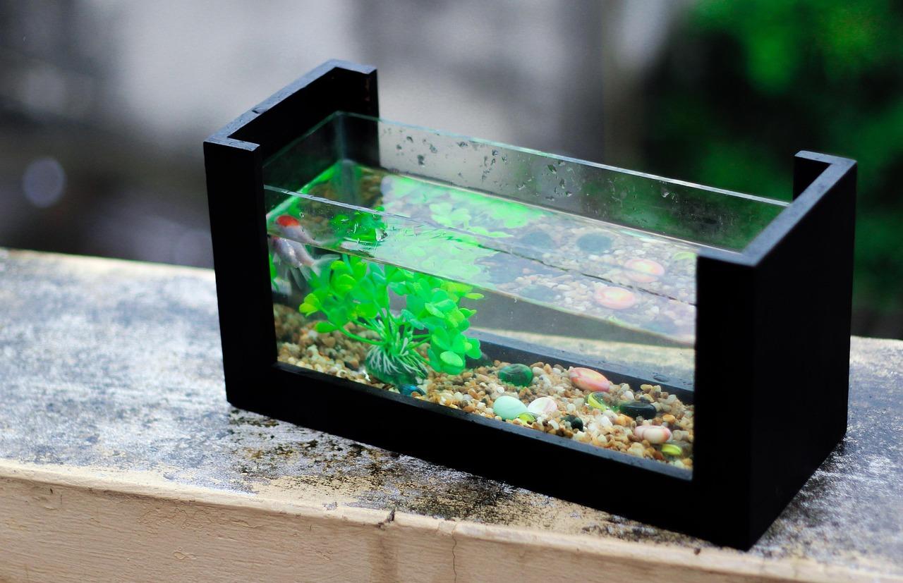Pro Cylinder 125 Gallon Acrylic Setup Black