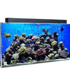Buy Clear-For-Life 240 Gallon