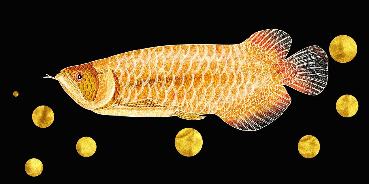Malaysian Golden Blue base