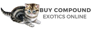 Compound Exotic Pets for Sale
